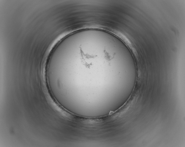 X0000115210947200911121901