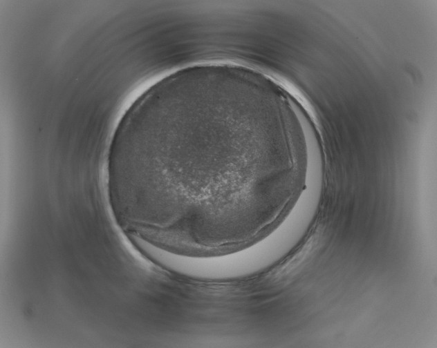 X0000115210951200911121901