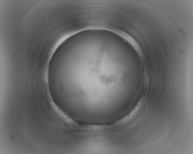 X0000115210958200911121901