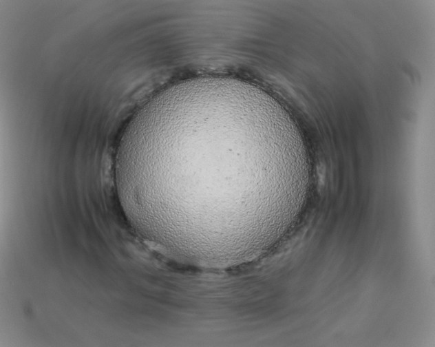 X0000115210964200911121901