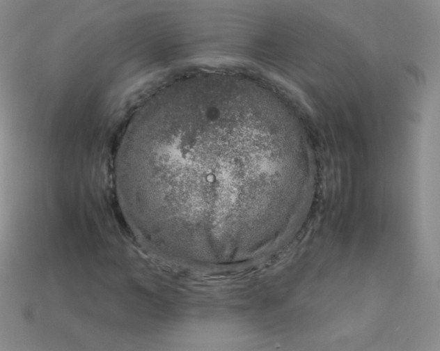 X0000115210966200911121901