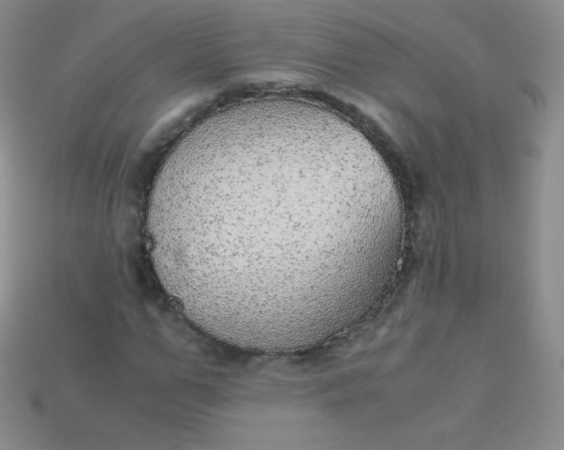 X0000115210967200911121901