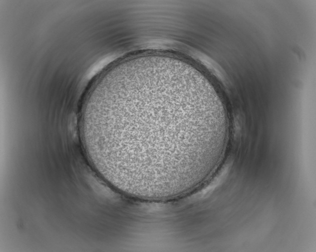X0000115210970200911121901