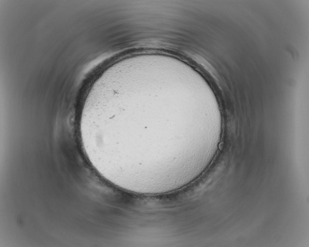 X0000115210971200911121901