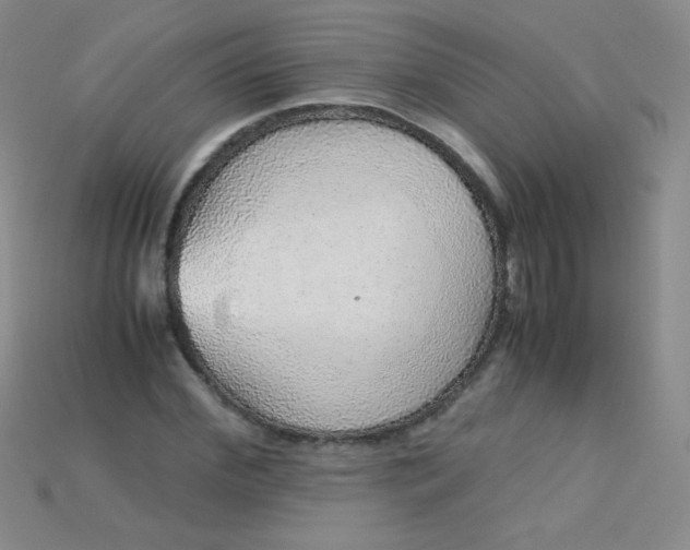 X0000115210972200911121901