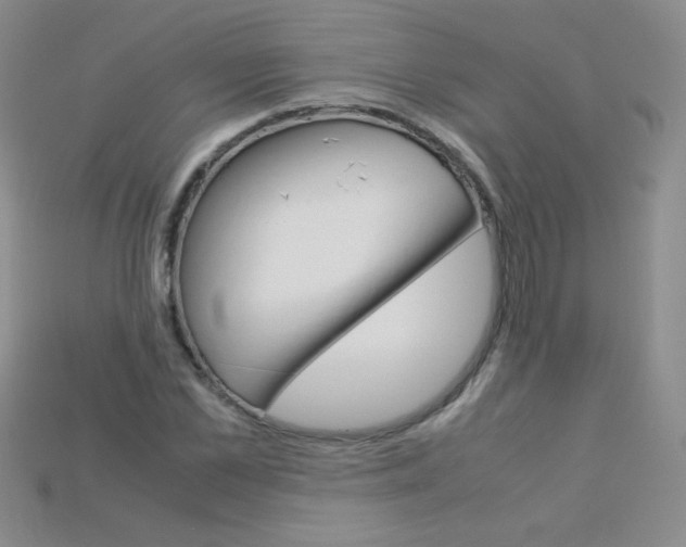 X0000115210973200911121901