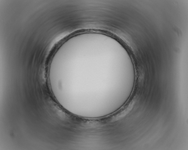 X0000115210974200911121901