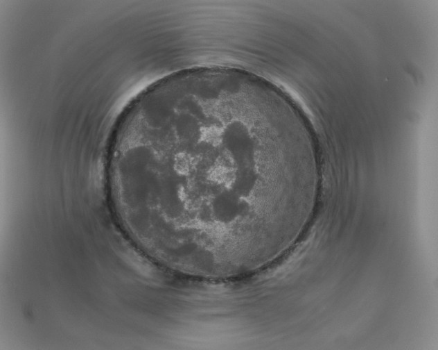 X0000115210975200911121901