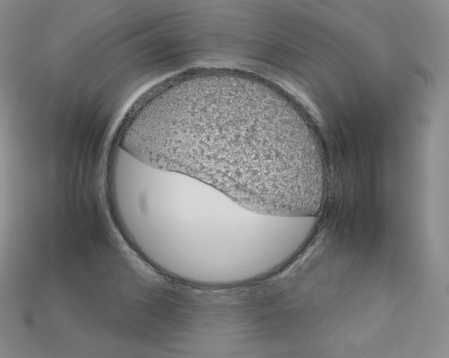 X0000115210976200911121901