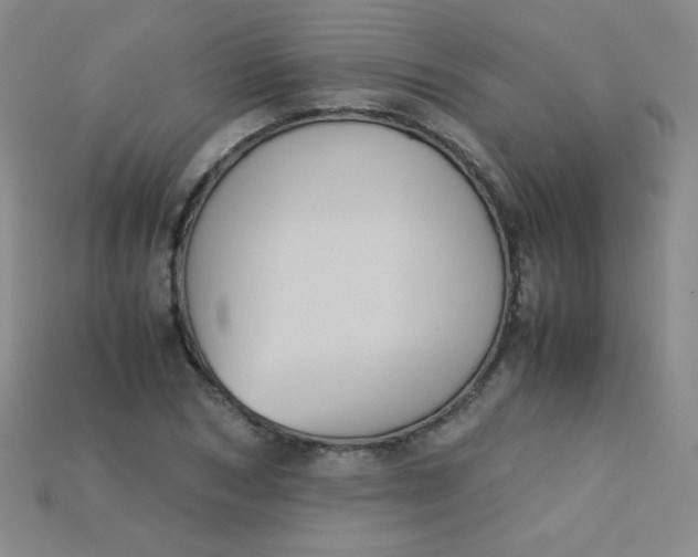 X0000115210978200911121901