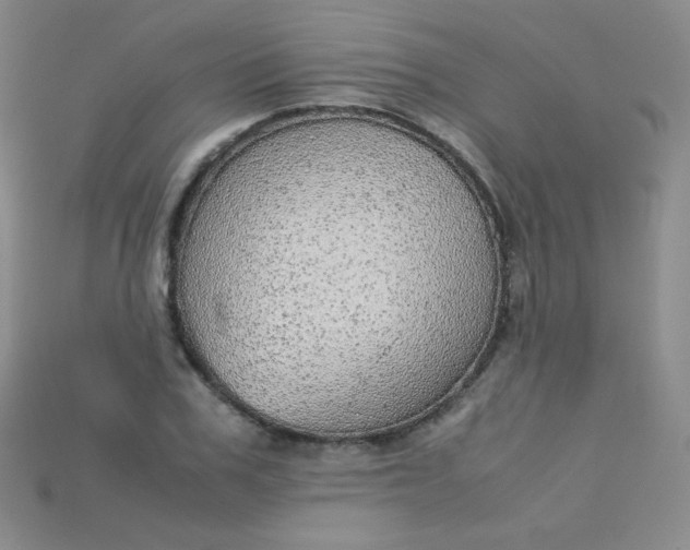 X0000115210979200911121901