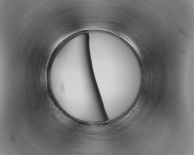 X0000115210980200911121901