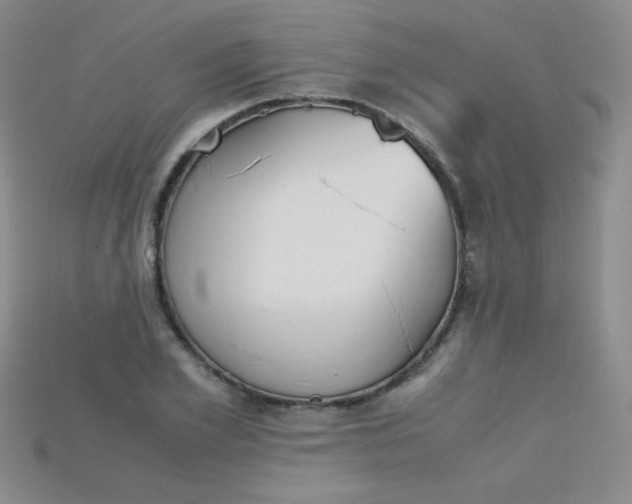X0000115210981200911121901