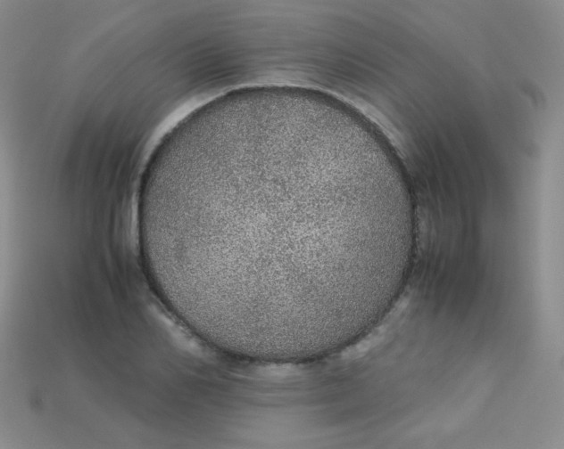 X0000115210982200911121901