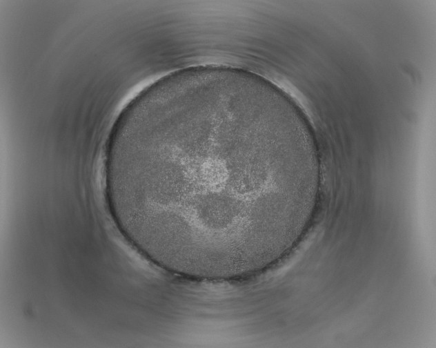 X0000115210983200911121901