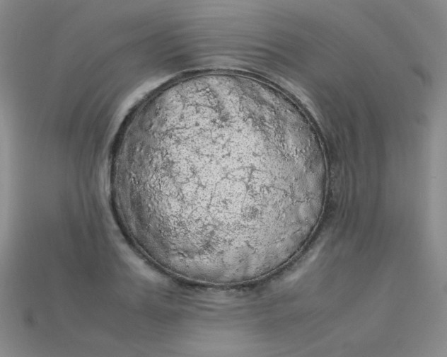 X0000115210987200911121900