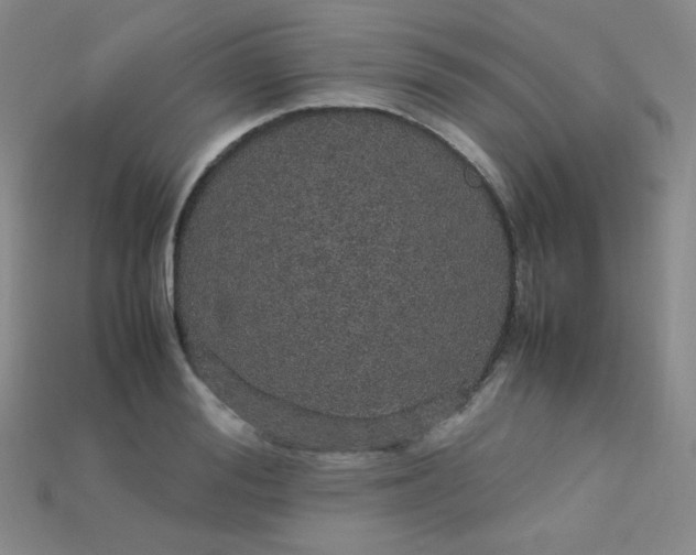 X0000115210988200911121900