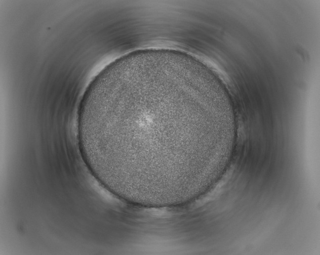 X0000115210990200911121900