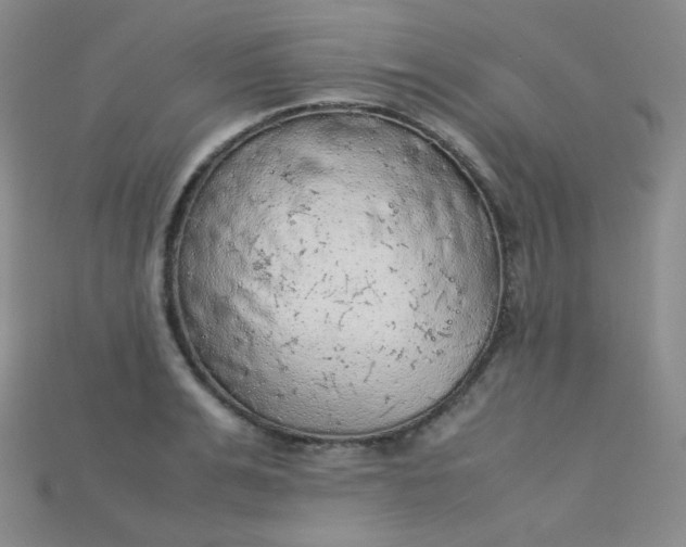 X0000115210991200911121900