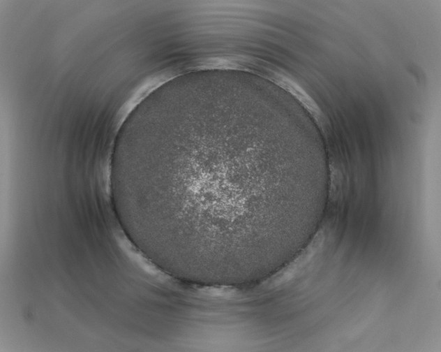 X0000115210994200911121900