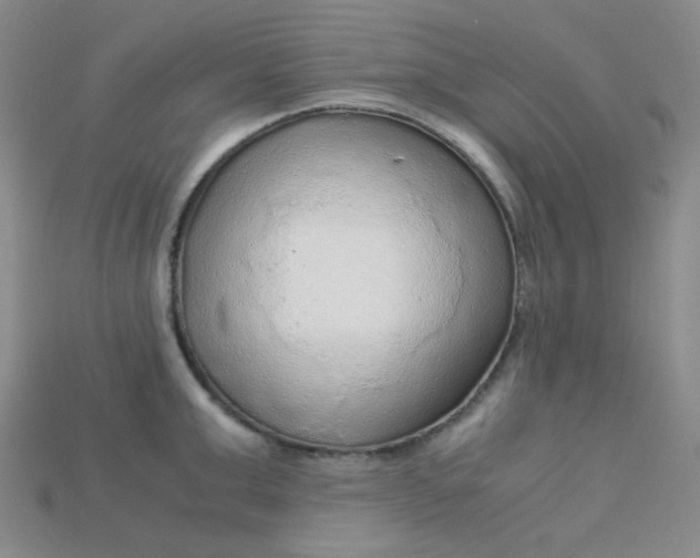 X0000115210999200911121900