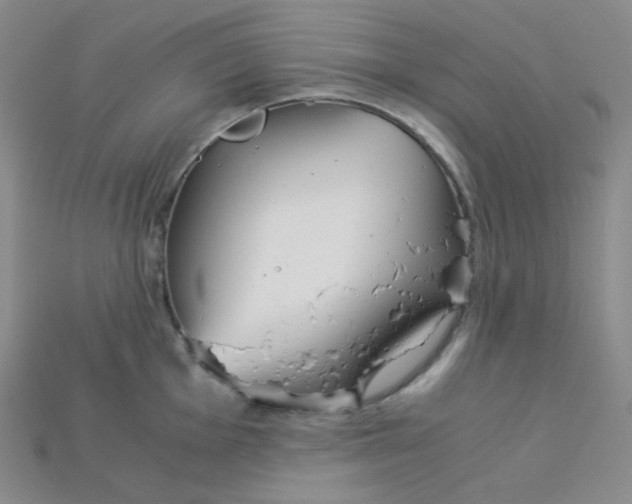 X0000115211001200911121900