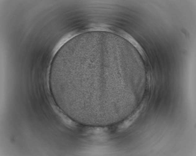 X0000115211002200911121900