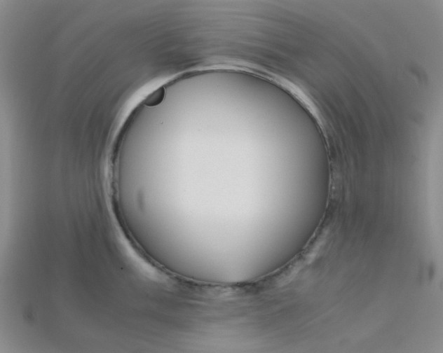 X0000115211003200911121900