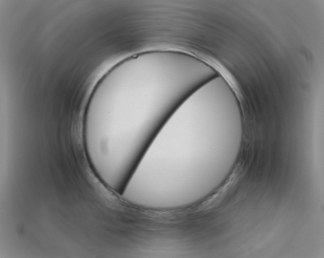 X0000115211004200911121900