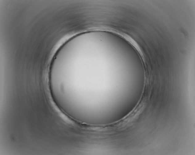 X0000115211005200911121900
