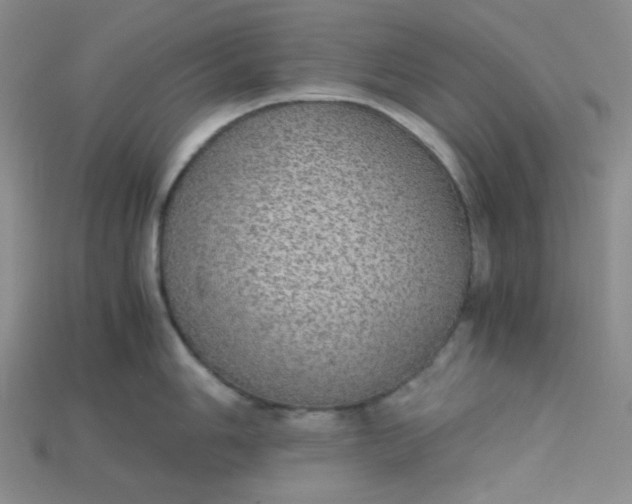 X0000115211006200911121900