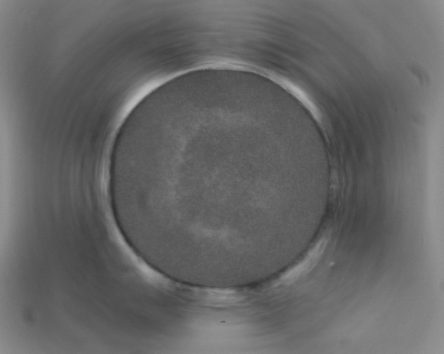 X0000115211007200911121900