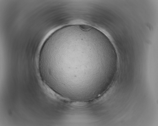X0000115211008200911121900