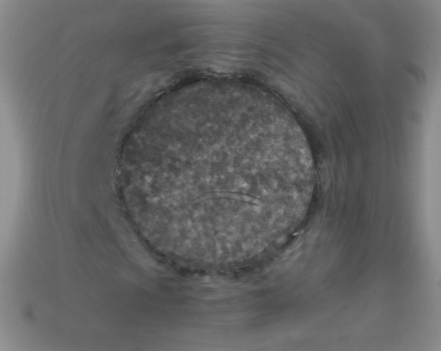 X0000115211009200911121859