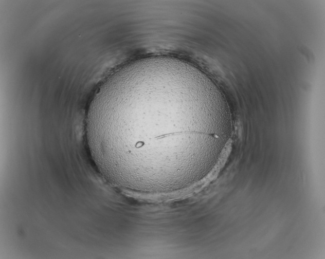 X0000115211012200911121859