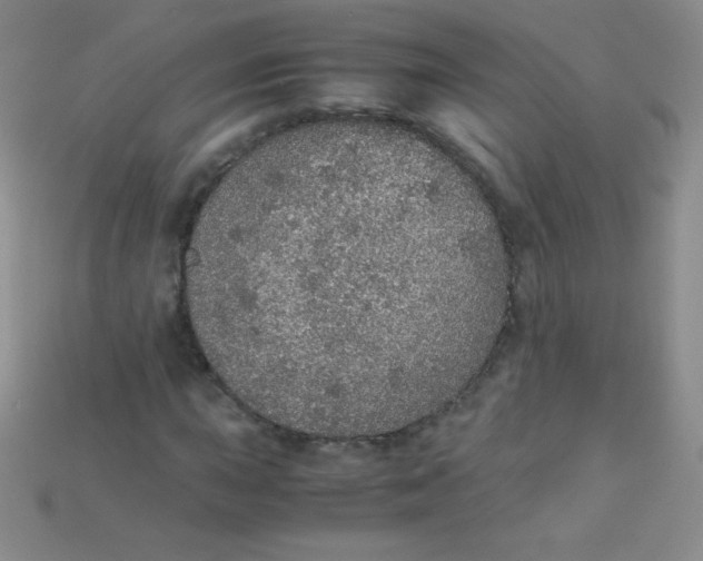 X0000115211015200911121859