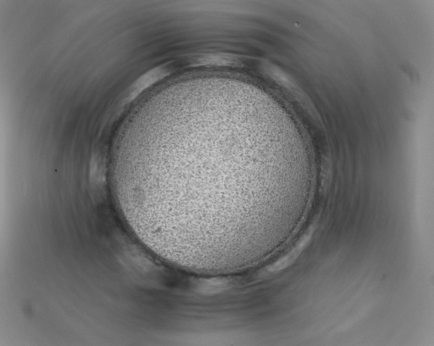 X0000115211017200911121859