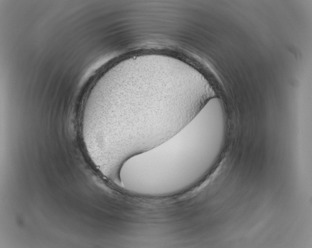 X0000115211018200911121859