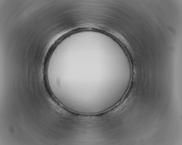 X0000115211020200911121900