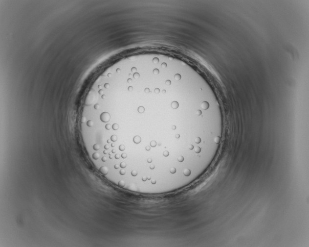 X0000115211021200911121900