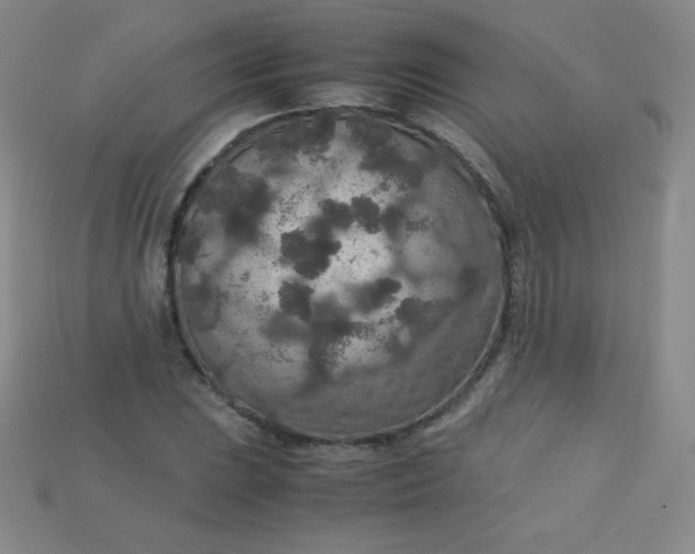 X0000115211023200911121900