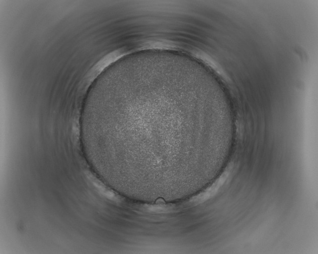 X0000115211025200911121900