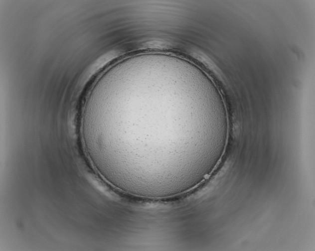 X0000115211026200911121900