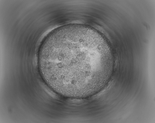 X0000115211027200911121900