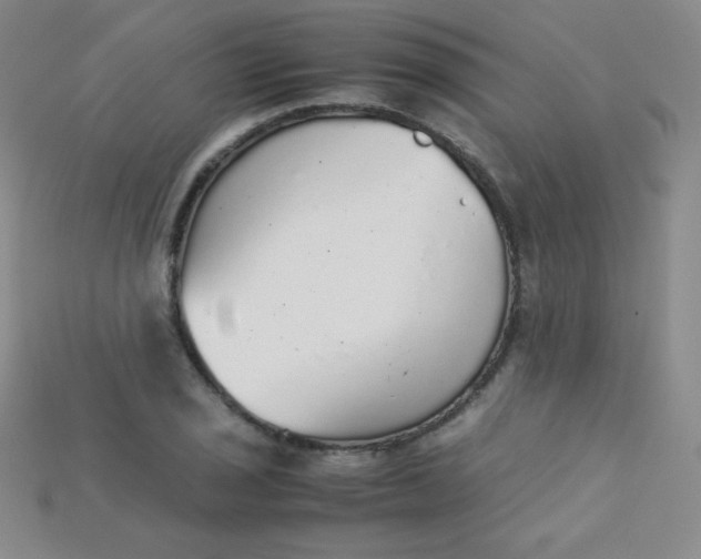X0000115211029200911121900