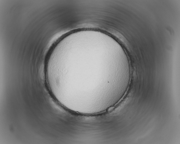 X0000115211030200911121900