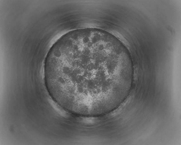 X0000115211031200911121900