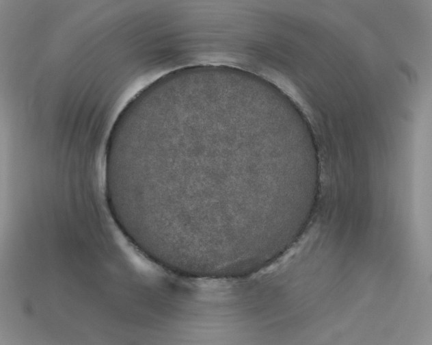 X0000115211032200911121900