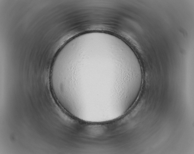 X0000115211033200911121900