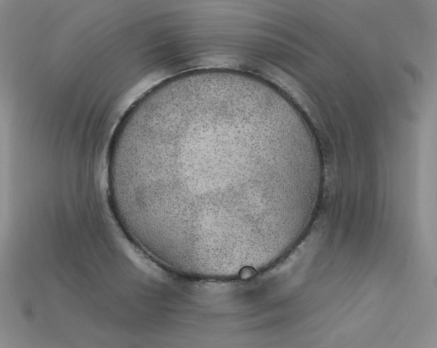 X0000115211034200911121900